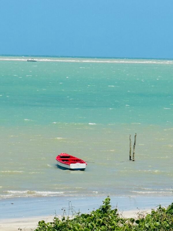 Litoral Norte - Imagem 10